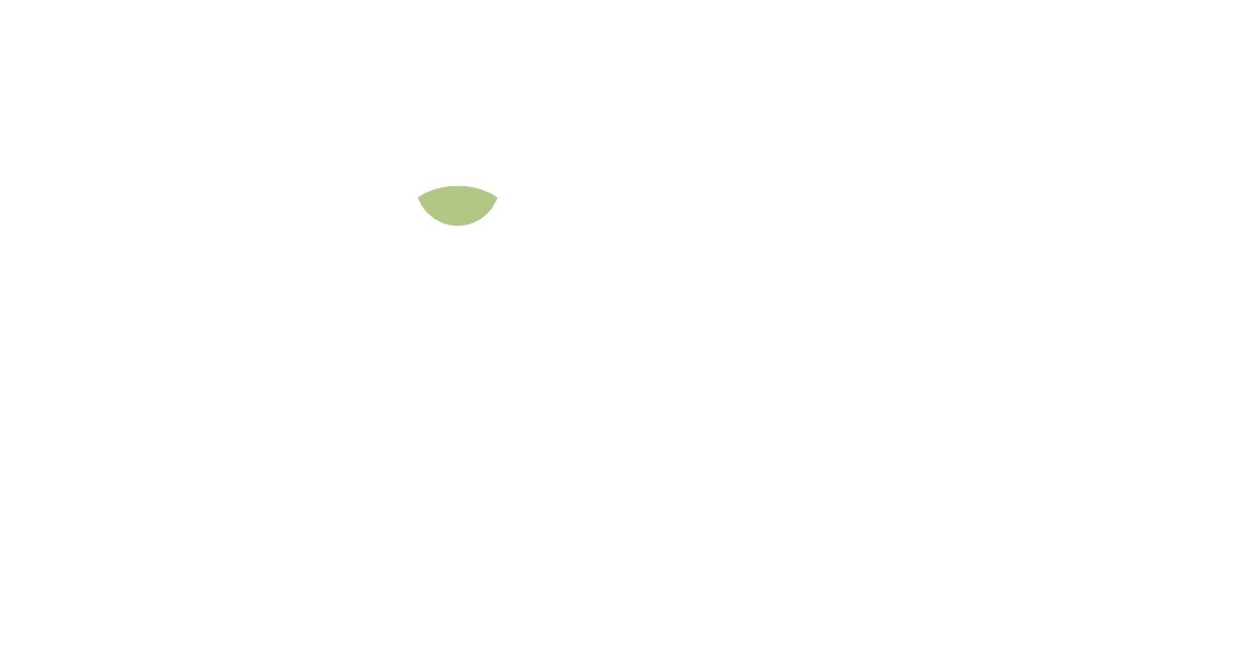Marca de Agua VM Agrícola