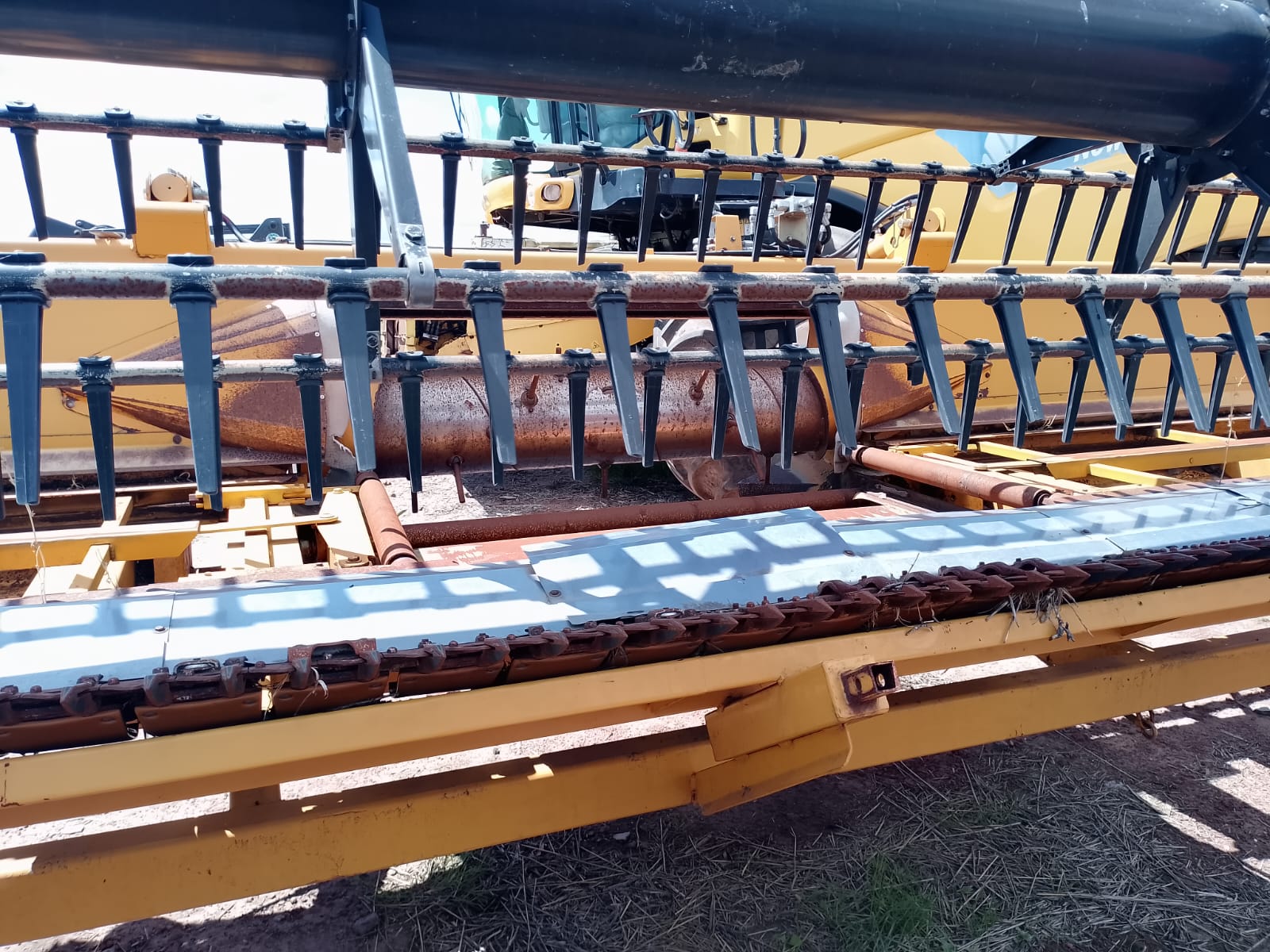 WhatsApp Image 2025-12-02 at 10.00.59