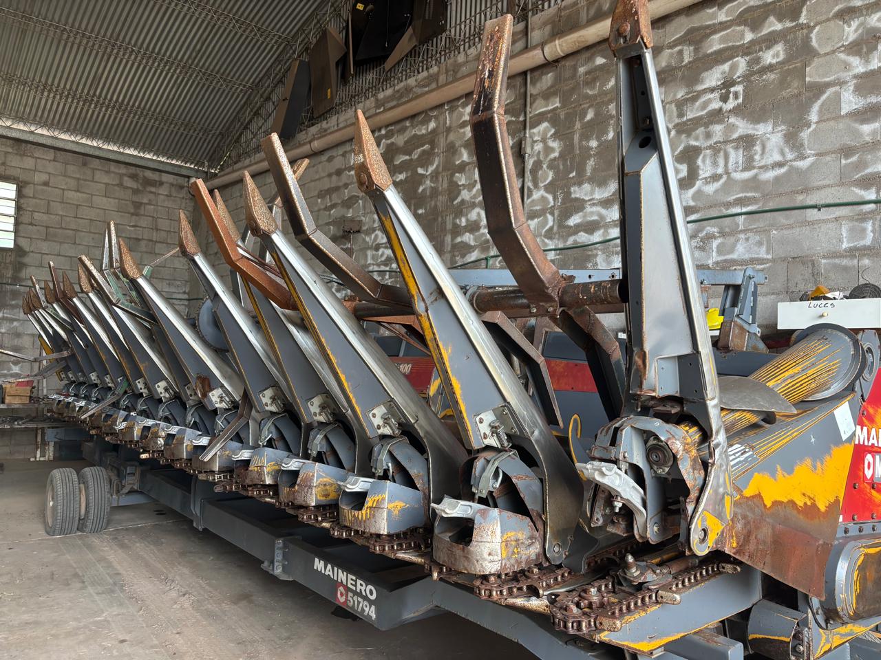 WhatsApp Image 2026-01-27 at 10.23.03 (1)