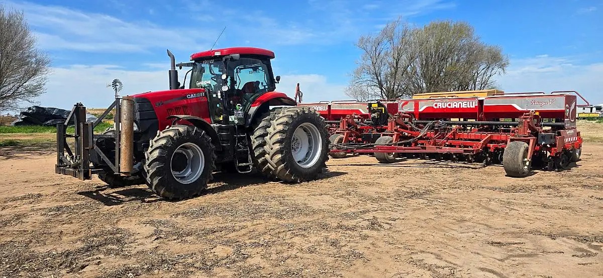 WhatsApp Image 2026-02-10 at 12.30.51 PM (1)