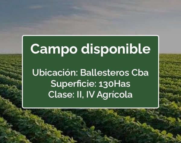 CAMPO BALLESTEROS (CÓRDOBA) 130 HAS, SUELO II, IV