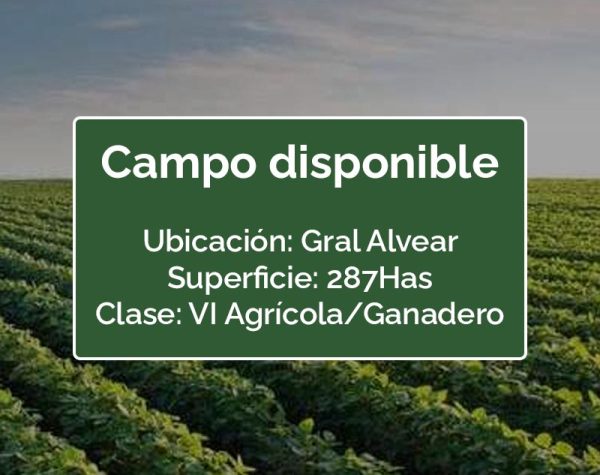 CAMPO BUENOS AIRES, GENERAL ALVEAR, 287 HAS, SUELO 6