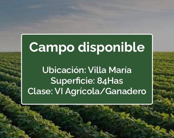 CAMPO CORDOBA, VILLA NUEVA, 84 HAS, SUELO 6