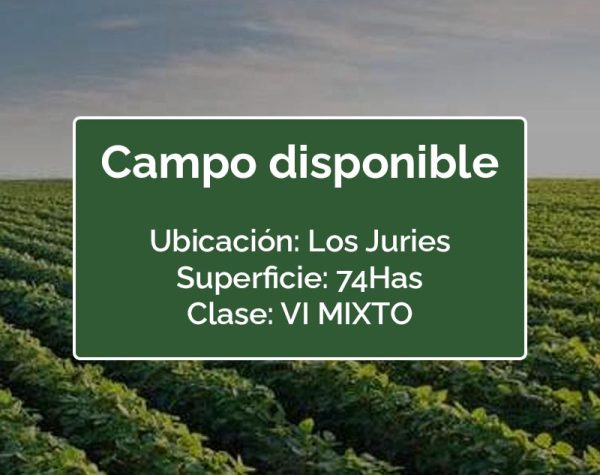 CAMPO SANTIAGO DEL ESTERO, LOS JURIES, 74 HAS,