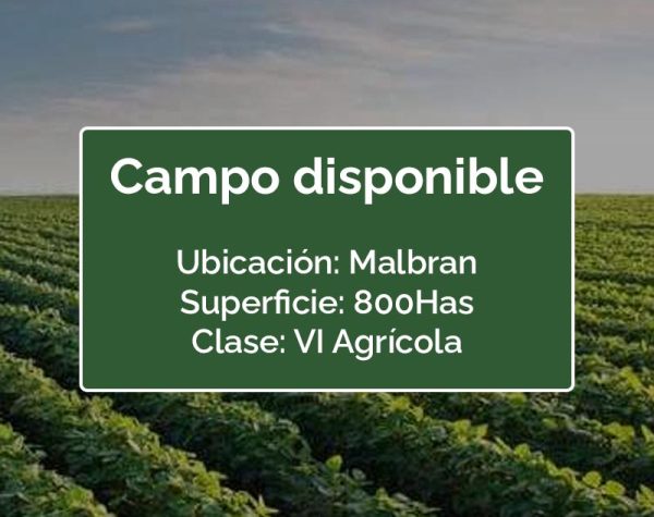 CAMPO SANTIAGO DEL ESTERO, MALBRAN, 800 HA